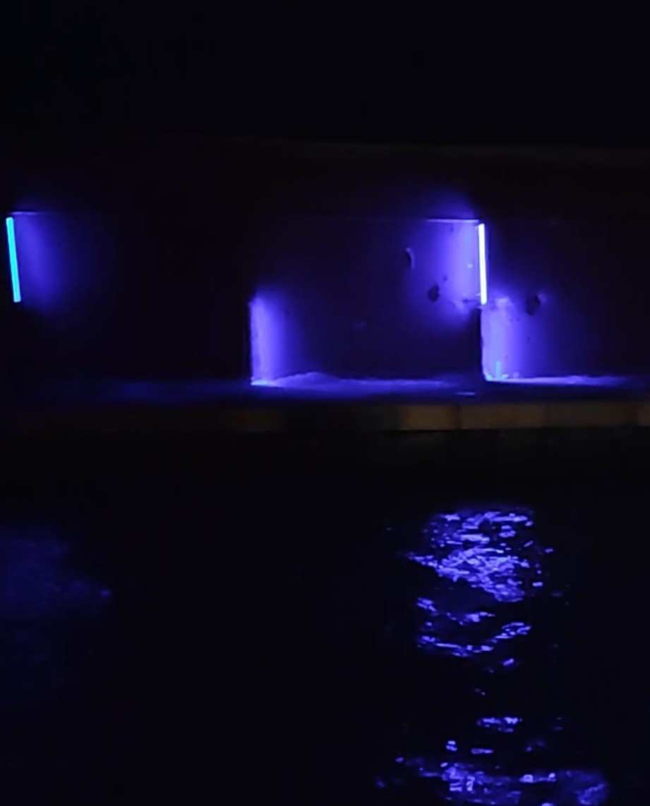 Diga foranea di Genova